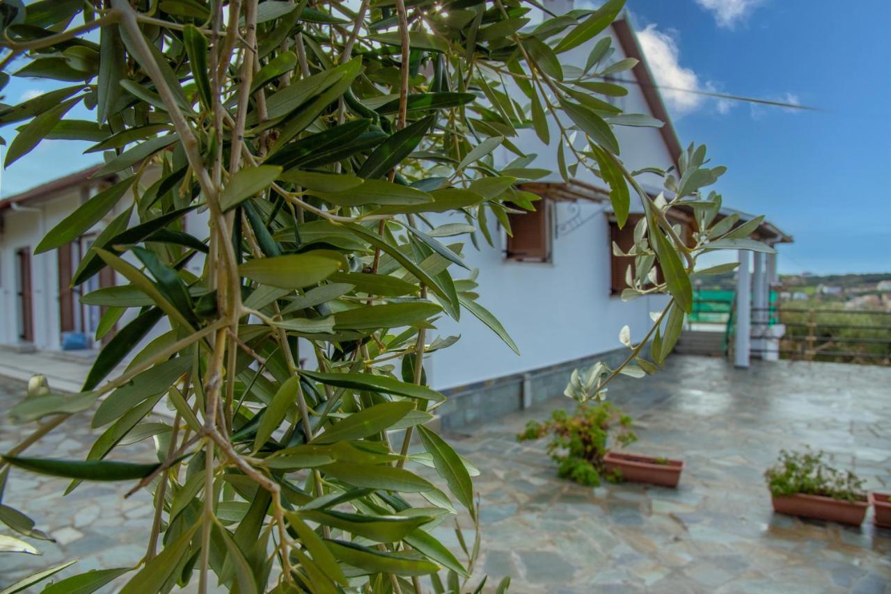 Elaionas And Agios Stefanos Avliotes (Corfu)