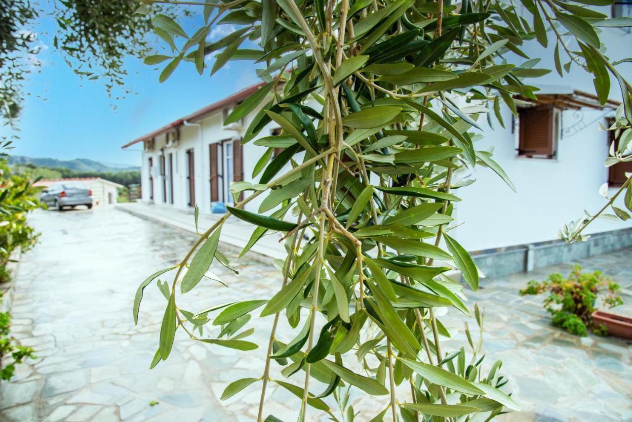 Elaionas And Holiday home *